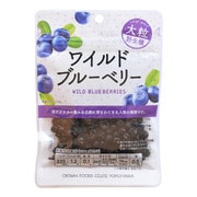 ワイルドブルーベリー40g