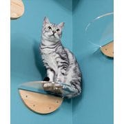 xmz0160clr [MYZOO〈マイズー〉ROUND LACKキャットステップ 1枚入り（クリア）]