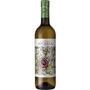 バロン・ミカエラ マンサニージャ 15度 750ml スペイン/サンルーカル・デ・バラメダ [白ワイン]