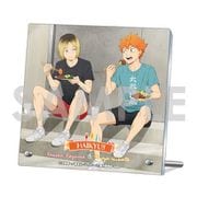 ハイキュー！！ くつろぎコレクションプレート -いただきます！- シリーズ 1. 日向翔陽＆孤爪研磨 [キャラクターグッズ]