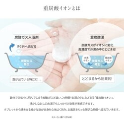 ヨドバシ.com - ディーエーピーネットワーク Hot Bubble PRO