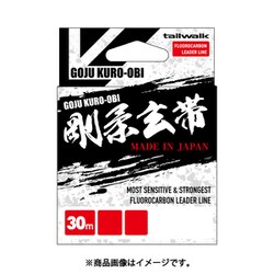 tailwalk 剛柔 玄帯 30m #0.8