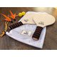 OUTDOOR RACKET SET