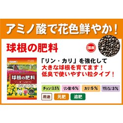 ヨドバシ Com 東商 球根の肥料 500g 通販 全品無料配達