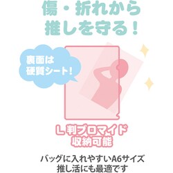 ヨドバシ Com エムプラン 51 サンリオキャラクターズ クリアファイル A6 ハードタイプ シナモロール キャラクターグッズ 通販 全品無料配達