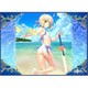 TCG万能プレイマット Fate/Grand Order アーチャー/アルトリア・ペンドラゴン [トレーディングカード用品]