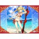TCG万能プレイマット Fate/Grand Order キャスター/ネロ・クラウディウス [トレーディングカード用品]