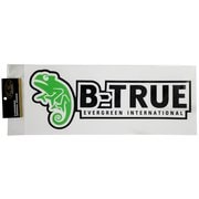 ボートデッキステッカー B-TRUE W400
