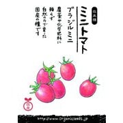 国産ミニトマト(ブラジルミニ) 約30粒