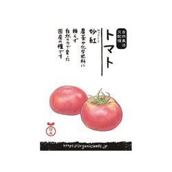 国産交配種 トマト（妙紅） 10粒