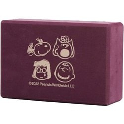 yogaworks ヨガブロック3セット ヨガワークス ヨガブロックA 2個セット yogaworks プロップス