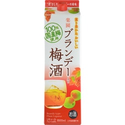 清洲桜 楽園 ブランデー入り 梅酒 パック 8度～9度未満 1800ml [梅酒]