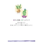 限定 サマーポスト 暑中 カクタス NPC-292