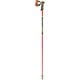 VENOM SL 3D 652676921130LE RD 130cm 2本セット [スキー ストック]