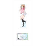 やはり俺の青春ラブコメはまちがっている。完 BIGアクリルスタンド テニス Ver. 一色いろは [キャラクターグッズ]