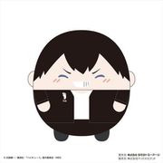 ハイキュー！！ ふわコロりん ぬいぐるみ Mサイズ Special B 影山飛雄 [キャラクターグッズ]