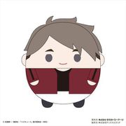ハイキュー！！ ふわコロりん ぬいぐるみ Mサイズ Special J 宮治 [キャラクターグッズ]