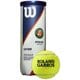 ローランギャロス クレー ROLAND GARROS CLAY WRT125000 3個入り 公認球 [硬式テニス プレッシャーライズドボール]