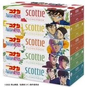 スコッティティシューフラワーボックス5箱パック コナン