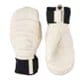 フォール ライン ミット FALL LINE MITT 3000781 AWH 7サイズ [スキー スノーボード グローブ]