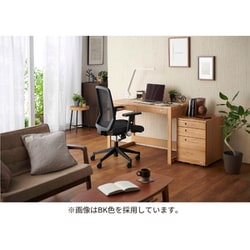 ヨドバシ.com - コイズミファニテック KOIZUMI FURNITECH JG4-301BK