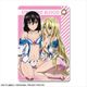 ストライク・ザ・ブラッドFINAL レザーパスケース 07 姫柊雪菜＆アヴローラ・フロレスティーナ [キャラクターグッズ]