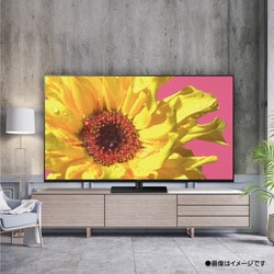 ヨドバシ.com - パナソニック Panasonic VIERA（ビエラ） LX950