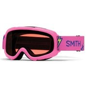 Gambler Flamingo Stickers（RC36） [スキー スノーボード ゴーグル ジュニア眼鏡対応]