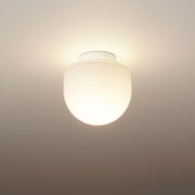 パルック LED電球シーリングライト 浴室灯 電球色 要電気工事 HH-SH0021L