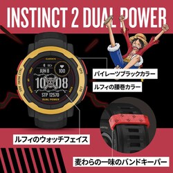 ヨドバシ.com - ガーミン GARMIN 010-02627-D1 [Instinct