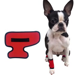 PET-SP03-M-L [ぺっとまる ホッとドッグサポーターロング RD-M 脚用サポーター]
