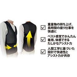 ヨドバシ Com Signet シグネット アシストベスト ササエラス Ll 通販 全品無料配達