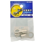 DZ-R22-10/A3 [丸型端子 R22-10 3個入]