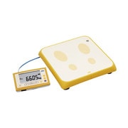 AD-6210 [スマートスケール（検定品）]