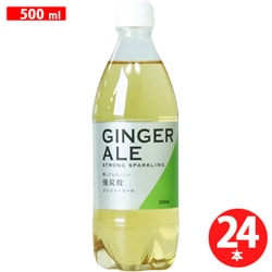 ジンジャーエール 500ml×24本