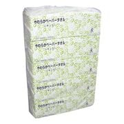 FR-5600 やわらかペーパータオル(レギュラー) 300枚×60パック
