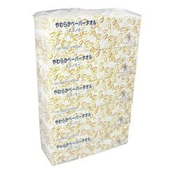 FR-5601 やわらかペーパータオル（エコノミー） 300枚×80パック