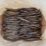 焼女子 2kg