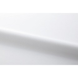 長袖シャツブラウス 17号 ホワイト EWB690