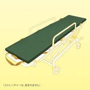 CTM-0501 [トランスポートマットレス 190×50×4cm]