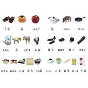 KK1300（M14415） 弁別組合せ 学習カードセット