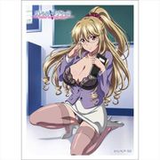 ストライク・ザ・ブラッド スリーブ 藍羽浅葱 [キャラクターグッズ]