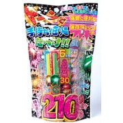 手持ち花火 ド～ンと210本！