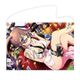 シノビマスター 閃乱カグラ NEW LINK B2タペストリー 爆乳祭・弐 Ver. 美野里 [キャラクターグッズ]