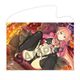 シノビマスター 閃乱カグラ NEW LINK B2タペストリー 爆乳祭 Ver. 総司 [キャラクターグッズ]