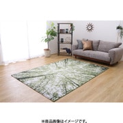 ウィルトン織カーペット ガイア 160×230cm