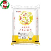 精米 千葉県産 コシヒカリ 2kg 令和7年産