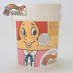 ひとりで塗れるもん アンナ フルーティーベージュ 22kg