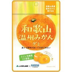 和歌山温州みかんグミ ラブレ乳酸菌入 40g