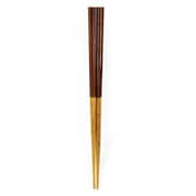 箸 子供用 16cm 4~6歳用 栗 天然木 山中塗 日本製 茶 B20-5-10s